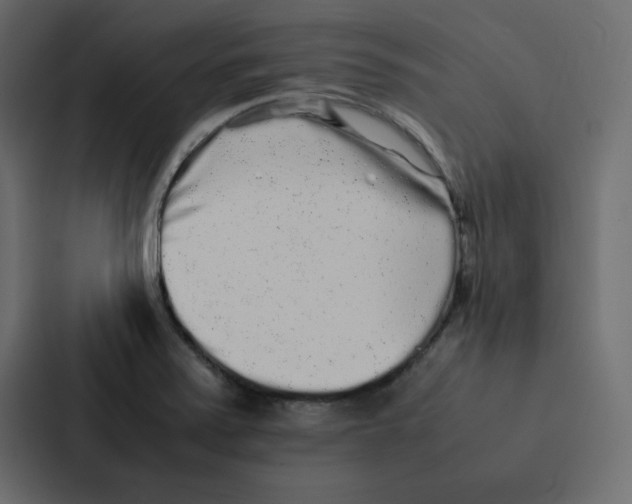 X0000087061371200705161003