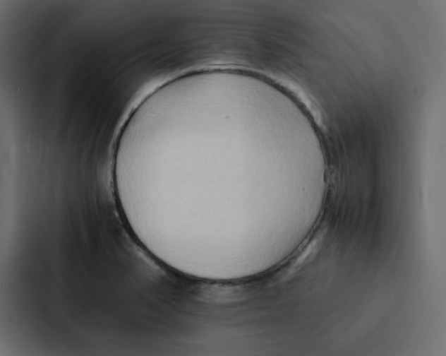 X0000087061374200705161003