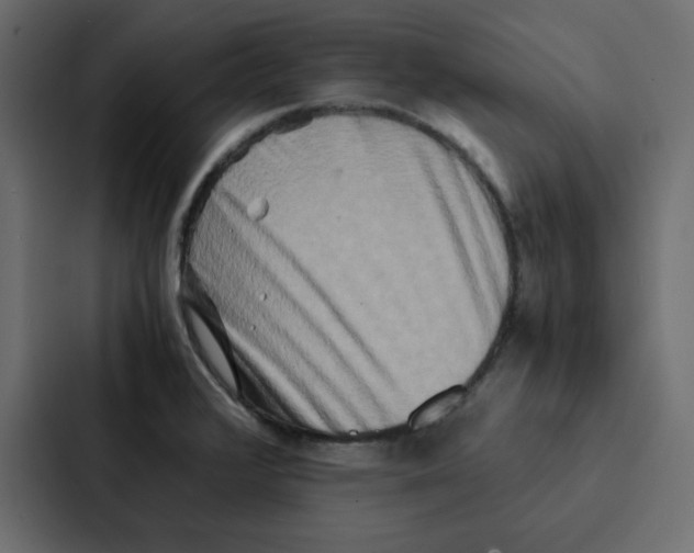 X0000087061376200705161003