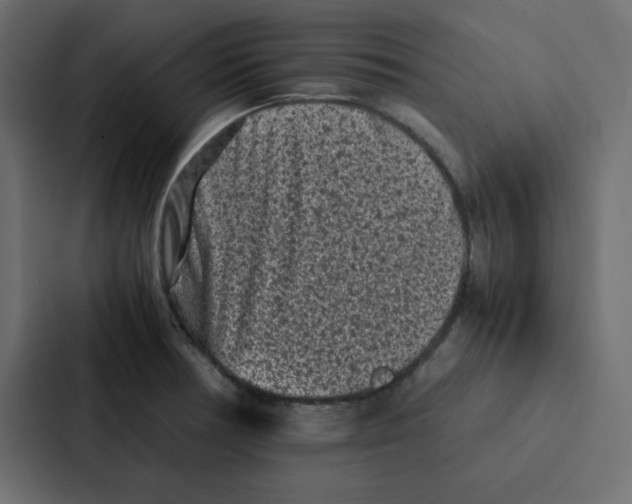 X0000087061378200705161003