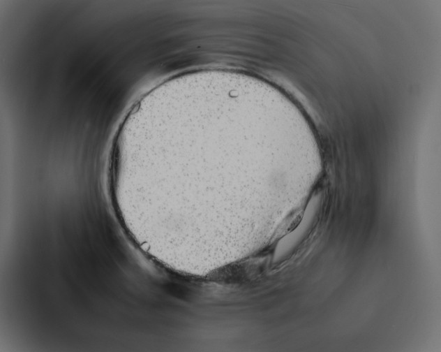 X0000087061379200705161003