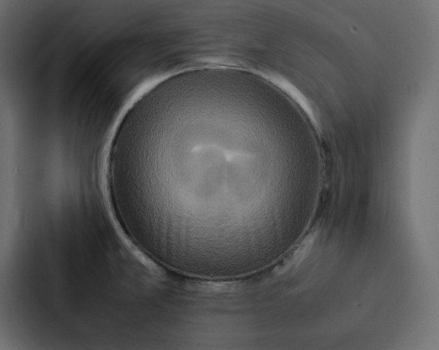 X0000087061381200705161003