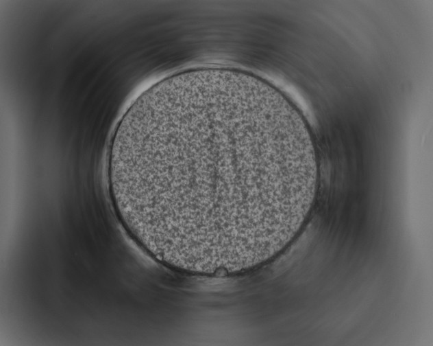 X0000087061382200705161003