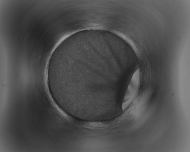 X0000087061383200705161003