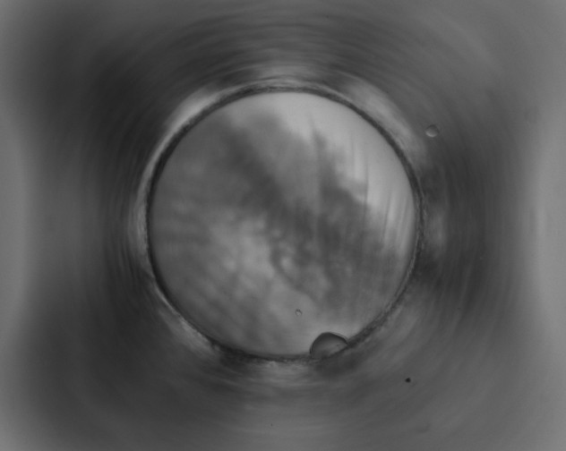 X0000087061384200705161003