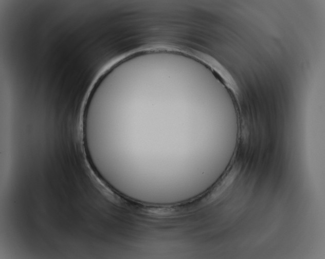 X0000087061388200705161003