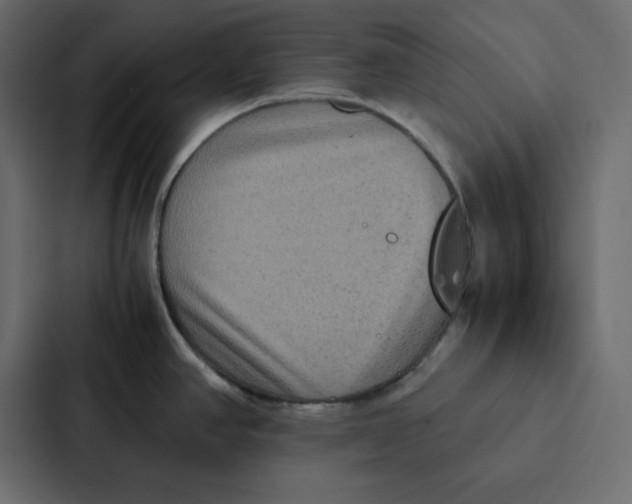 X0000087061390200705161003