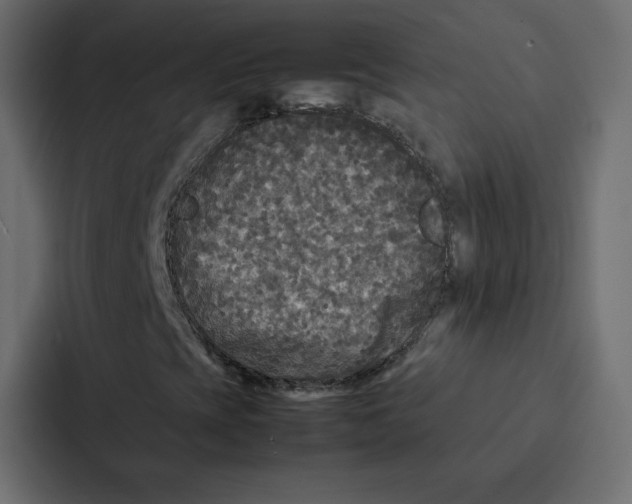 X0000087061393200705161002