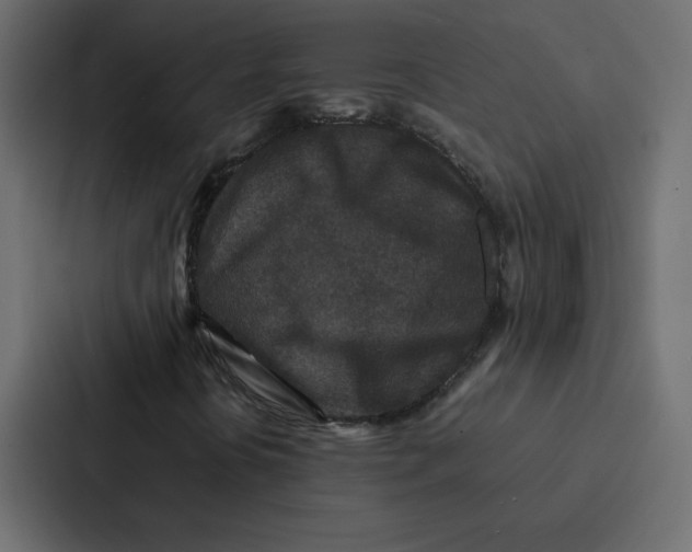 X0000087061394200705161002