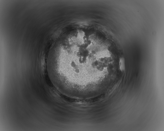 X0000087061395200705161002