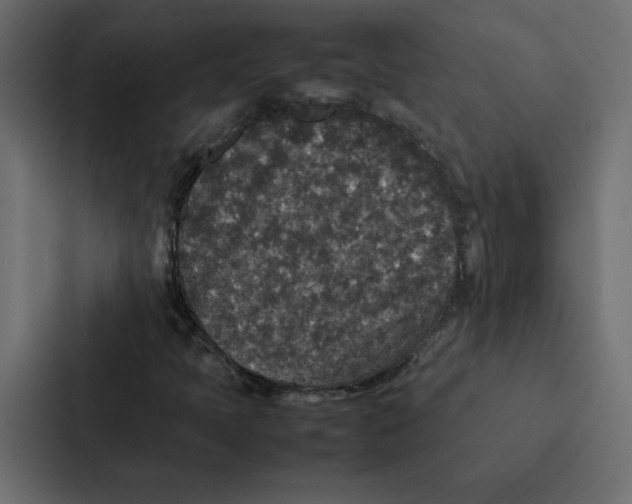 X0000087061397200705161002