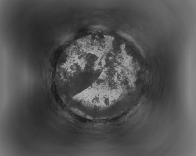 X0000087061399200705161002