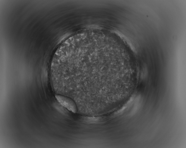 X0000087061401200705161002