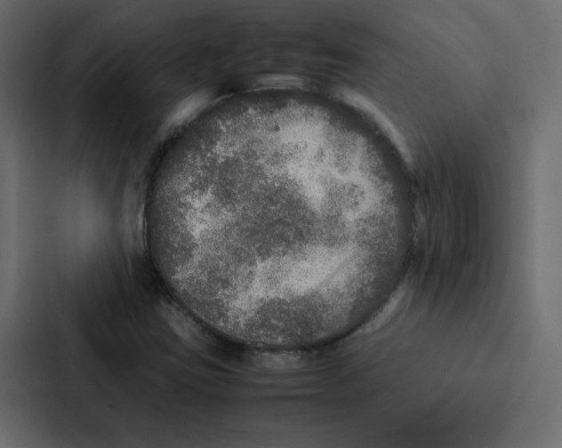 X0000087061403200705161002