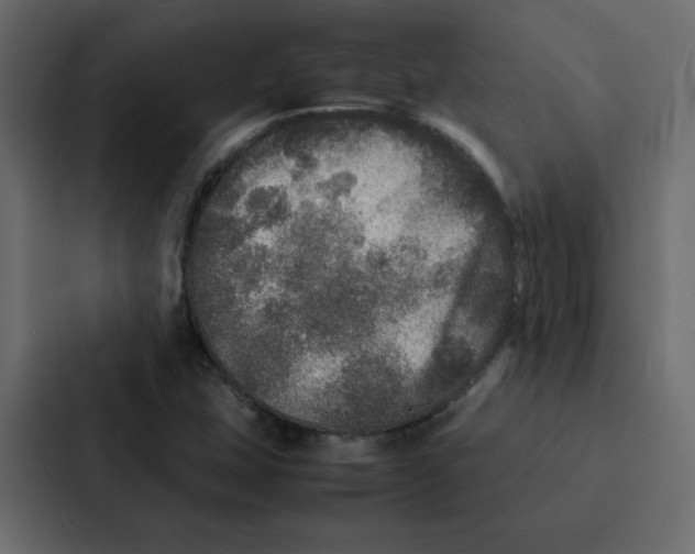 X0000087061407200705161002