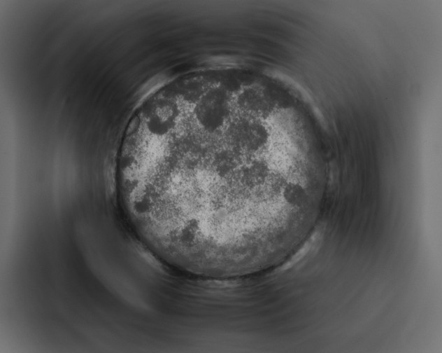 X0000087061409200705161002