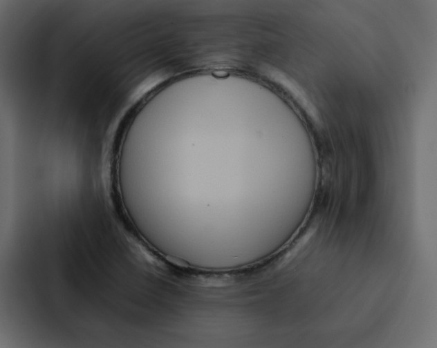 X0000087061410200705161002