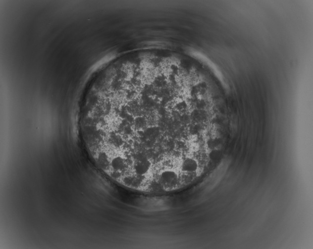 X0000087061411200705161002