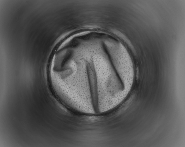 X0000087061412200705161002