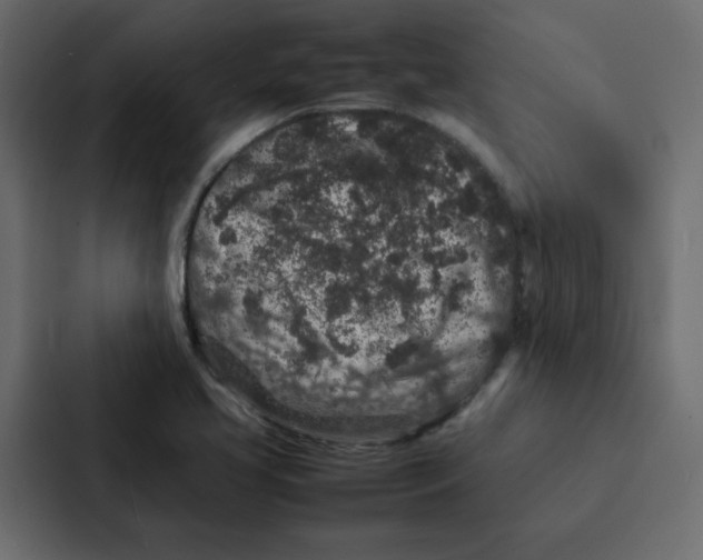 X0000087061413200705161002