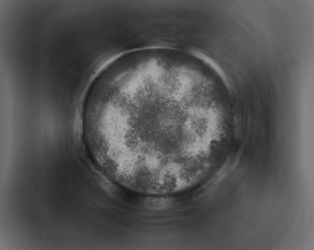 X0000087061415200705161002