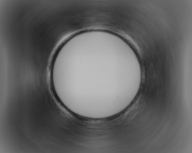 X0000087061416200705161002