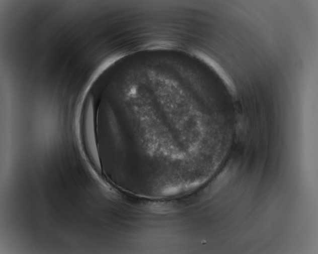 X0000087061418200705161002