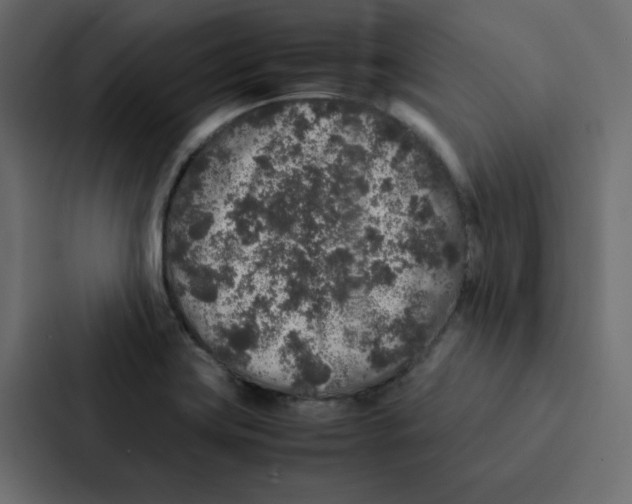 X0000087061419200705161002