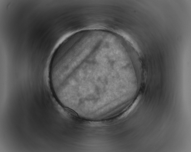 X0000087061422200705161002