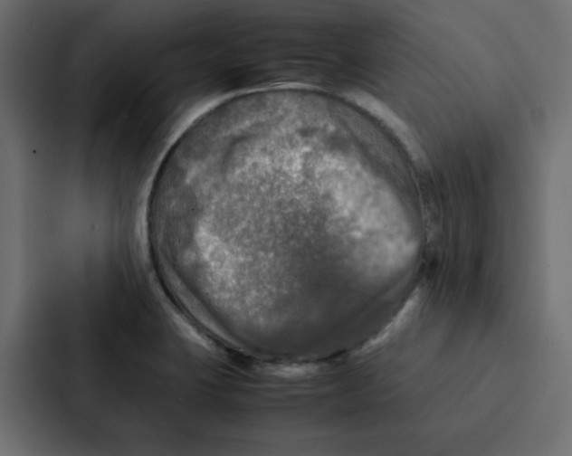 X0000087061423200705161002