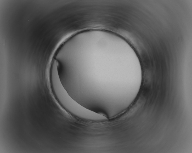 X0000087061424200705161002