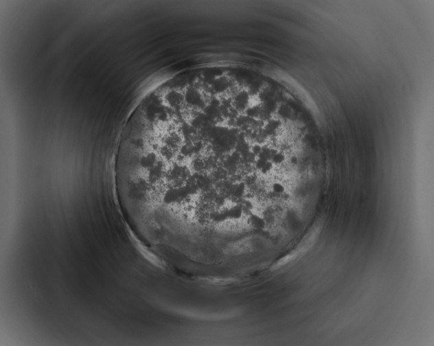 X0000087061425200705161003