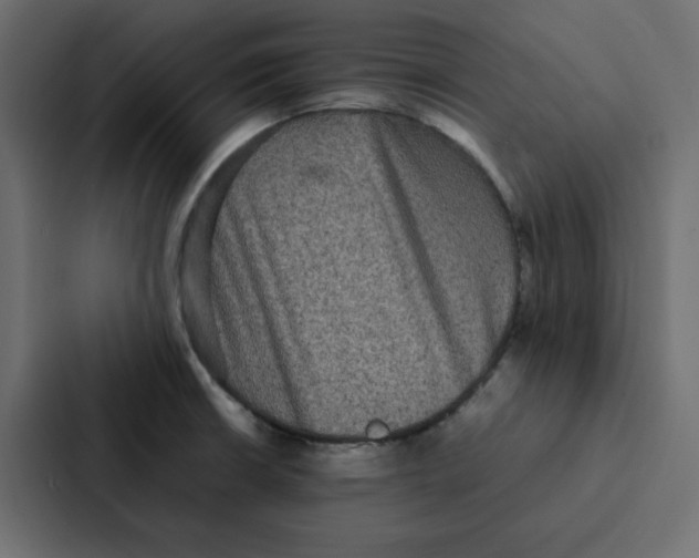 X0000087061426200705161003