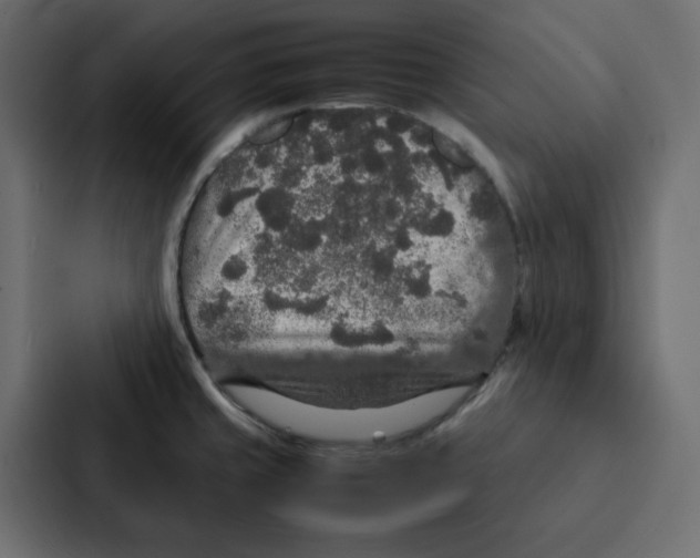 X0000087061429200705161003