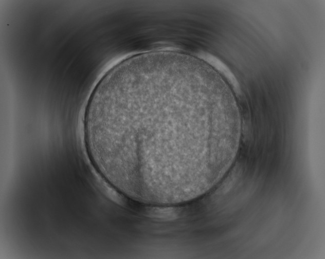 X0000087061431200705161003