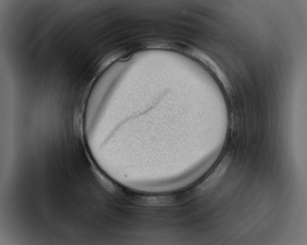 X0000087061433200705161003