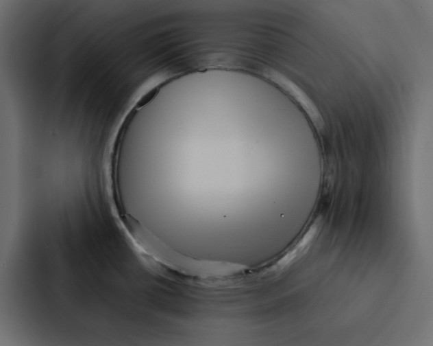 X0000087061434200705161003