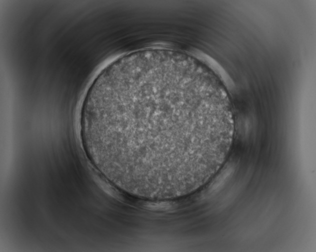 X0000087061435200705161003