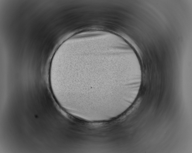 X0000087061437200705161003