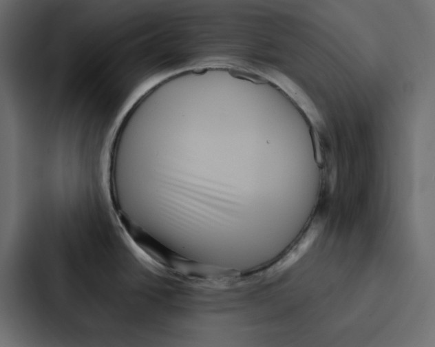 X0000087061438200705161003