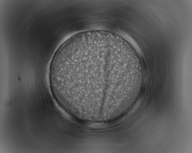 X0000087061439200705161003