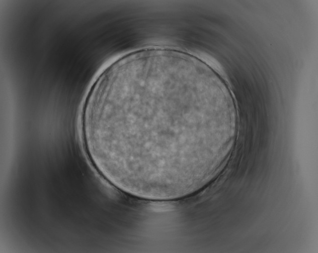 X0000087061440200705161003