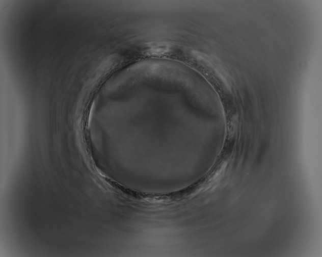 X0000087061441200705161002