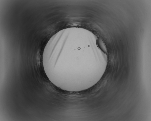 X0000087061442200705161002