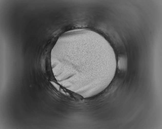 X0000087061444200705161002