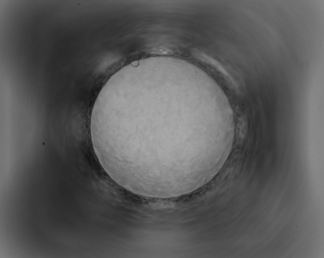 X0000087061446200705161002