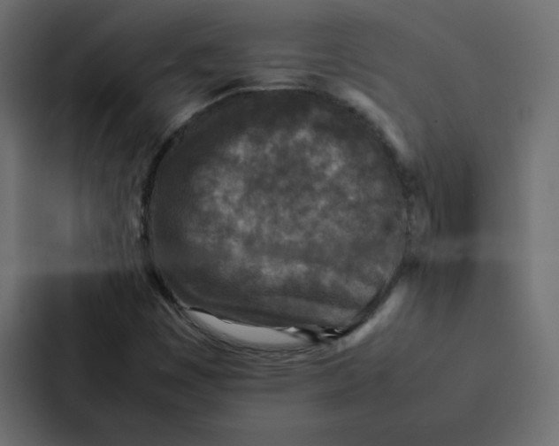 X0000087061449200705161002