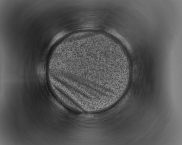 X0000087061450200705161002