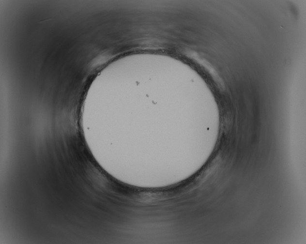 X0000087061451200705161002