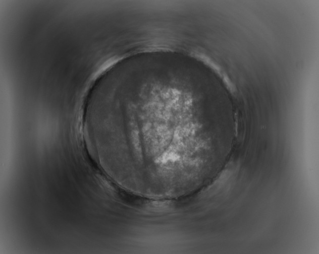 X0000087061453200705161002